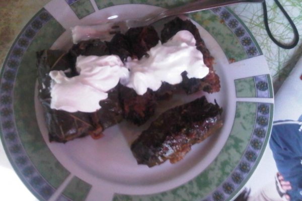 Sarmalute in foi de vita