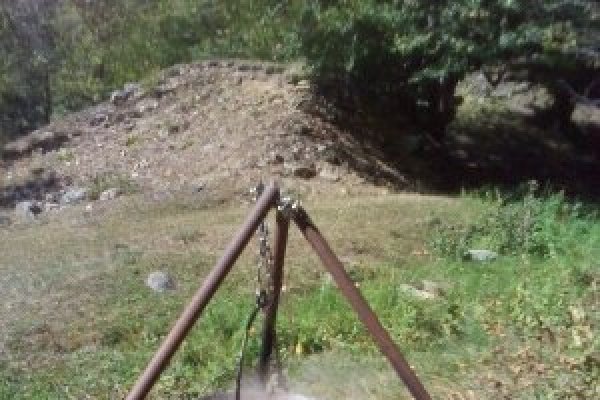 Aripi de pui cu cartofi natur si hrean ras