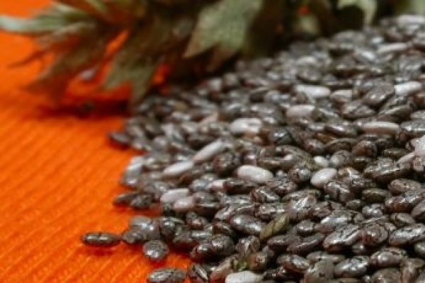 Seminţele de chia - alimentul minune