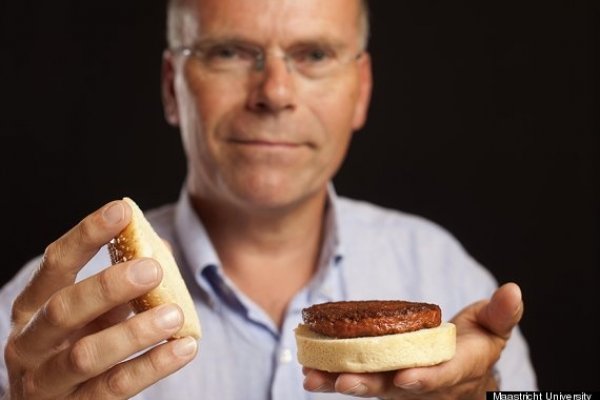 Primul hamburger artificial a fost degustat!