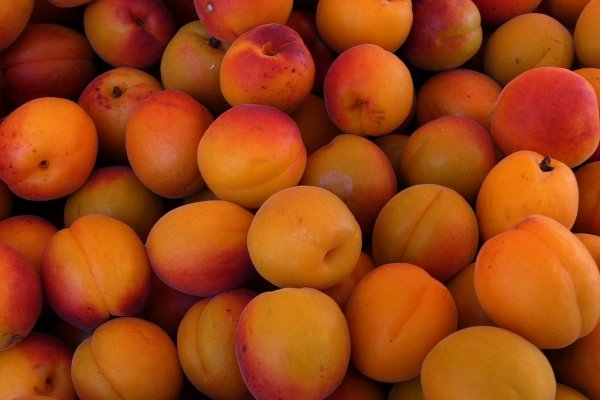 10 alimente cu proprietati vindecatoare