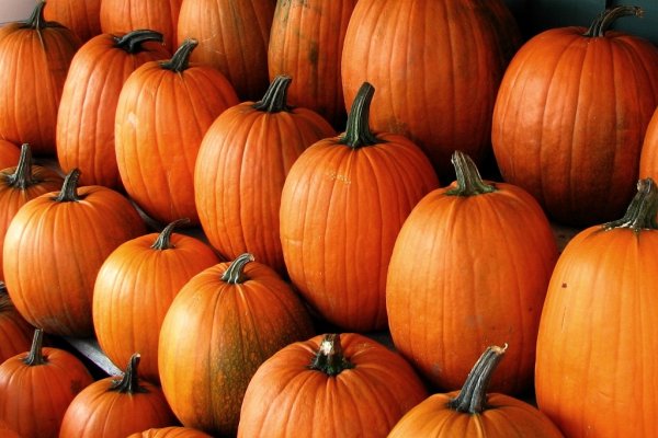 10 retete cu dovleac de incercat in aceasta toamna