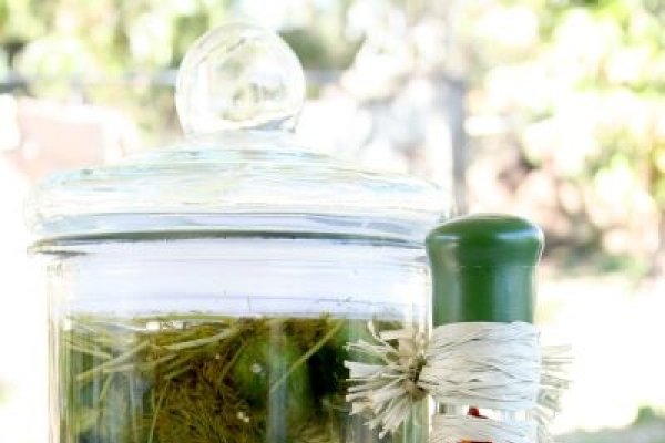 4 alimente fermentate cu beneficii incredibile asupra sanatatii