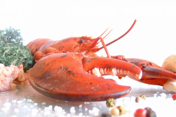 7 curiozitati despre homar