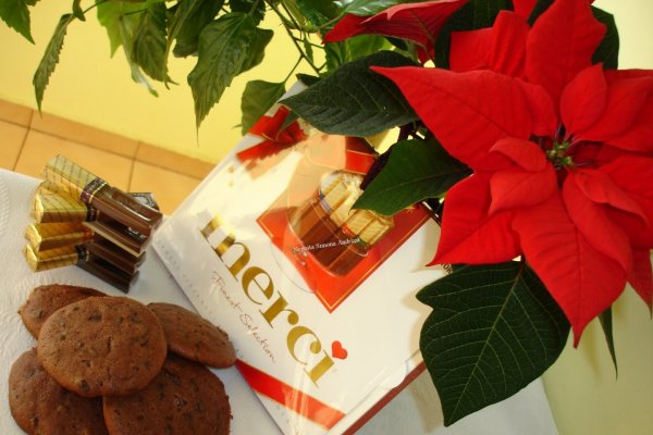 Biscotti ciocolatosi