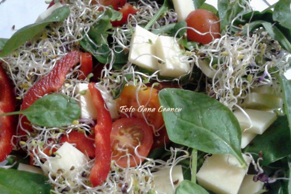 Salata de spanac asortata