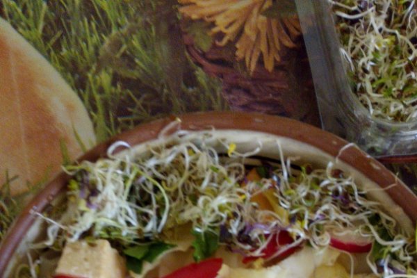 Paste cu tofu, andive, germeni mix de mustar, gulie, rapita,   iaurt de caju si parmezan vegan