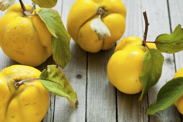 Ce poti sa gatesti cu gutui - 10 retete simple si gustoase