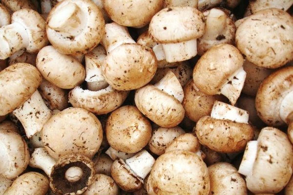 Cum se curata corect ciupercile