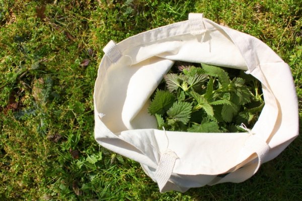 3 retete de primavara cu urzici