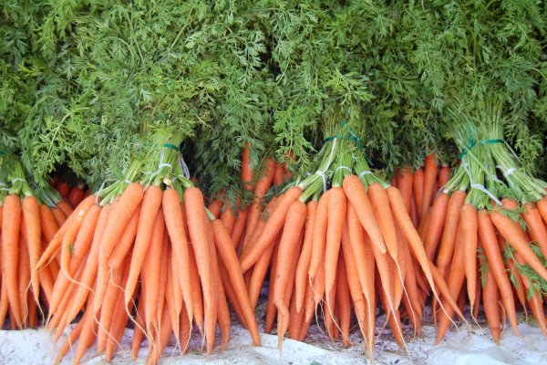 4 modalitati de a folosi tulpinile si radacinile legumelor