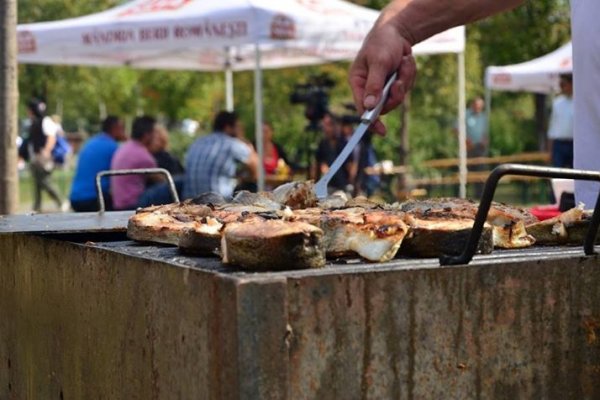 Festivalului Deltei revine cu o noua editie, intre 4 si 5 aprilie