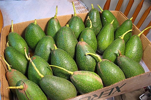 10 alimente care iti dau energie si te ajuta sa slabesti