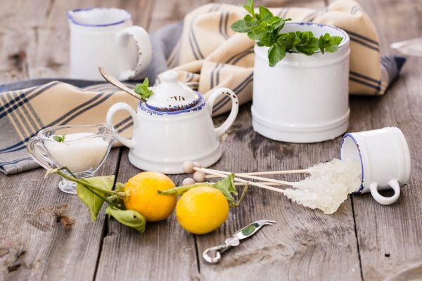 4 modalitati de conservare a mentei