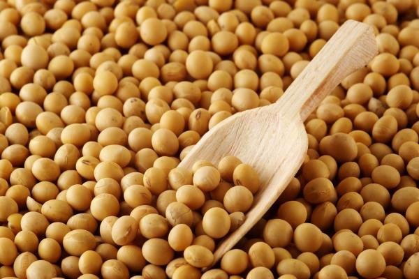 Cele mai bune feluri de mancare cu soia - 10 retete delicioase