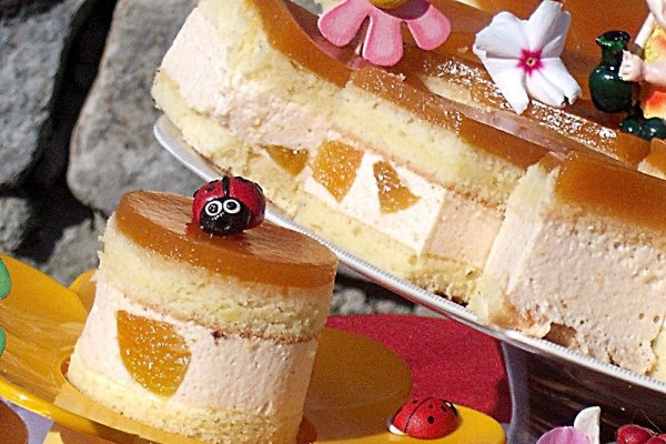 Prajitura cu nectar si caise