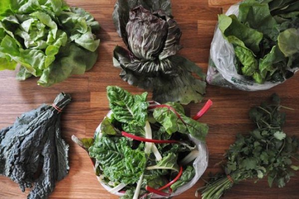 Cum sa pastrezi verdeturile proaspete mai mult timp - cele mai bune 3 trucuri