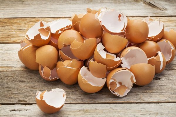 De ce sa nu arunci cojile de la oua - 5 feluri ingenioase in care le poti folosi