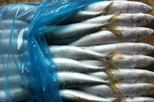 Alerta alimentara - 23.000 de kg de peste infestat cu paraziti, retrase de pe piata din Romania