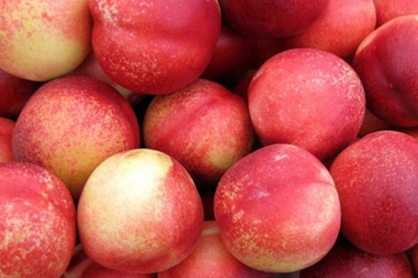 Alerta alimentara - caisele si nectarinele din Turcia, pericol pentru sanatate