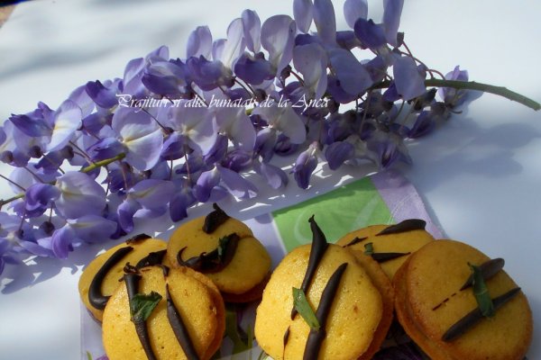 Paleuri cu crema de ciocolata