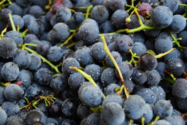 Ce se intampla in corpul tau dupa ce bei un pahar de must