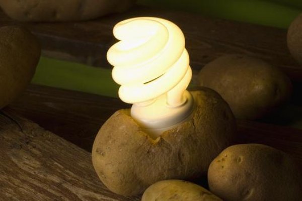Metoda prin care iti poti lumina camera cu un cartof