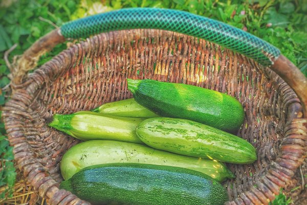 20 de retete cu dovlecei – simple, delicioase, sanatoase si usor de preparat