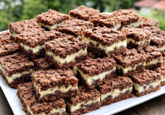 Prajitura Rudy - reteta de prajitura frageda cu cacao si branza dulce
